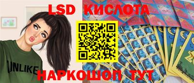 шишки Обь