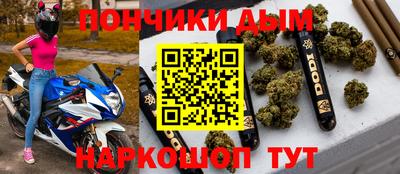 шишки Обь