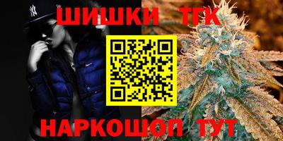 шишки Обь
