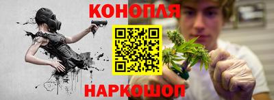 шишки Обь