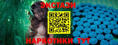 шишки Обь
