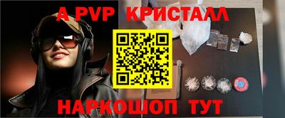 шишки Обь