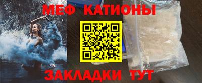 шишки Обь