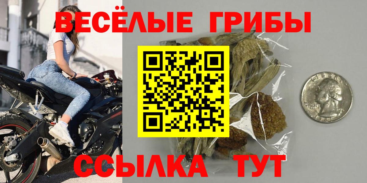 Галлюциногенные грибы мухоморы  Галлюциногенные грибы мухоморы  Вход с VPN  хочу наркоту  Саранск 
