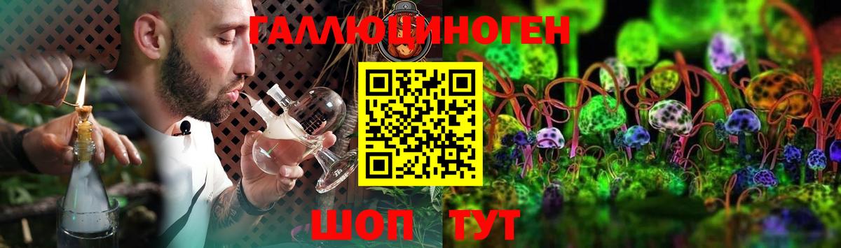 Псилоцибиновые грибы Psilocybe Саранск